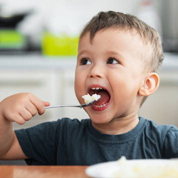 Feeding therapy at our food school is just one out of many occupational services we offer at Growing Up Therapy.